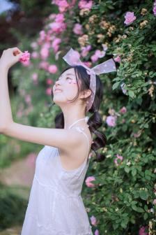 小小影视大全免费